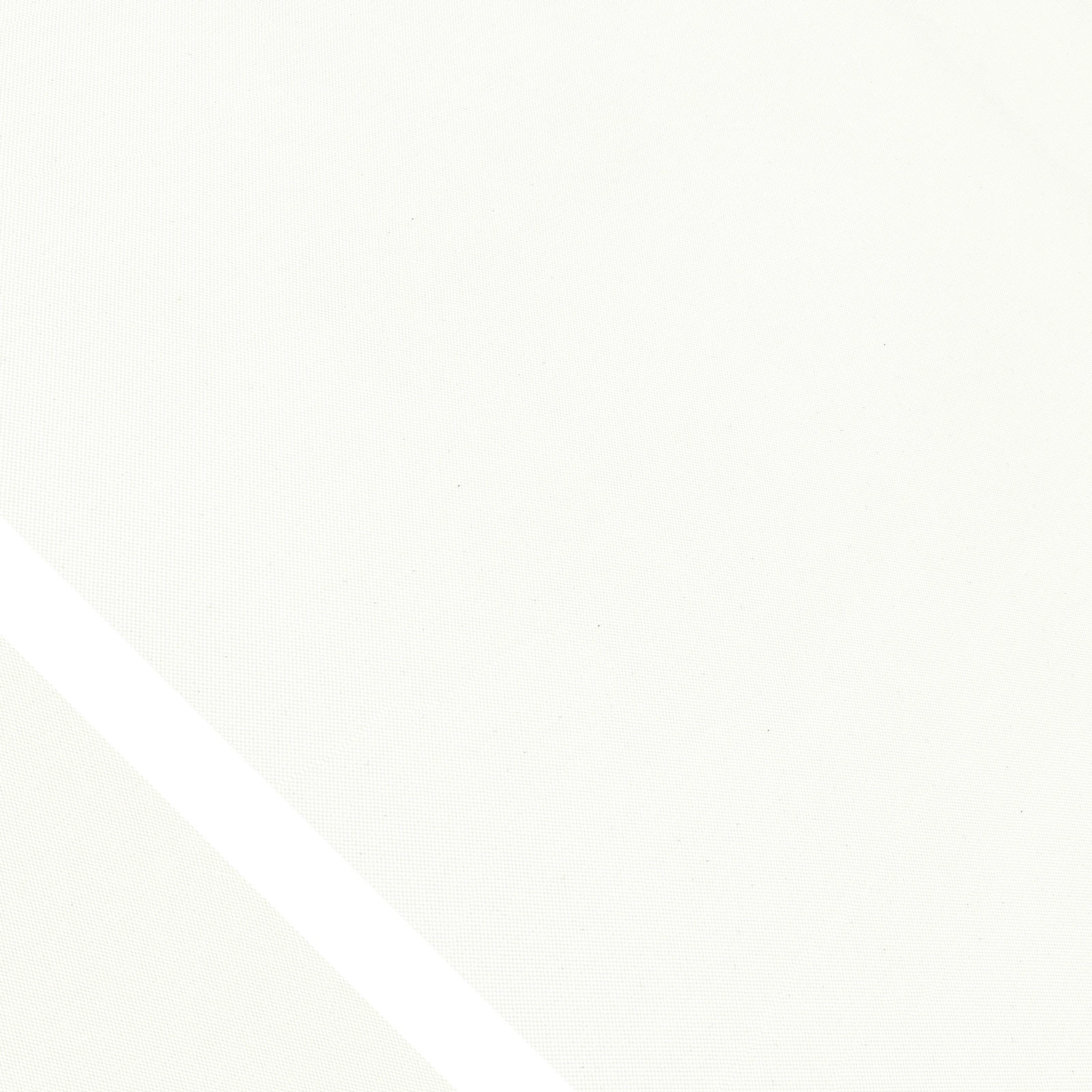 2559 (PG0) 2559 (PG0)