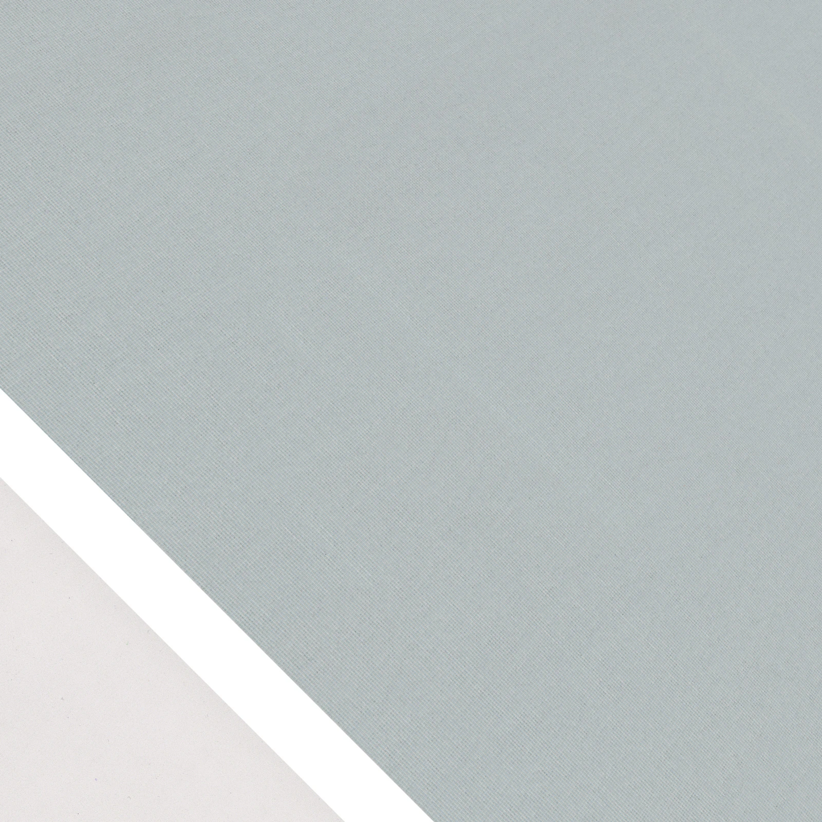 2919 (PG1) 2919 (PG1)