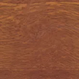 Goldeneiche Goldeneiche